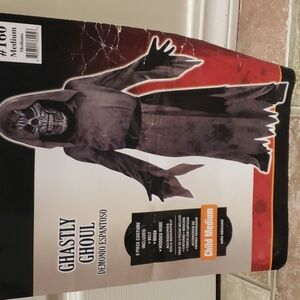 Ghastly ghoul 3 piece costume
